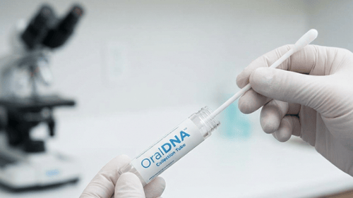 saliva testing kit and microscope 