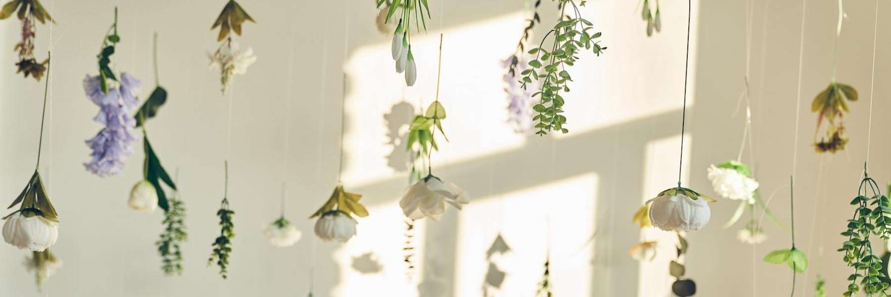 Plants hanging from the ceiling, centerville oh