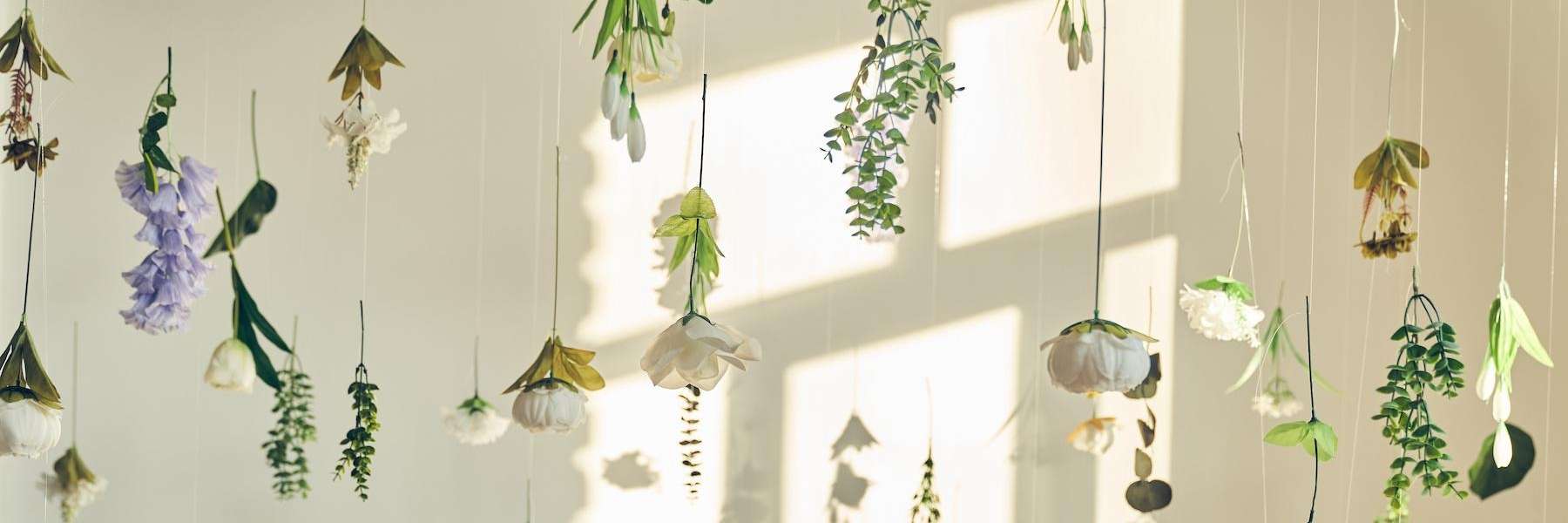 Cosmetic Dentistry | Dentist