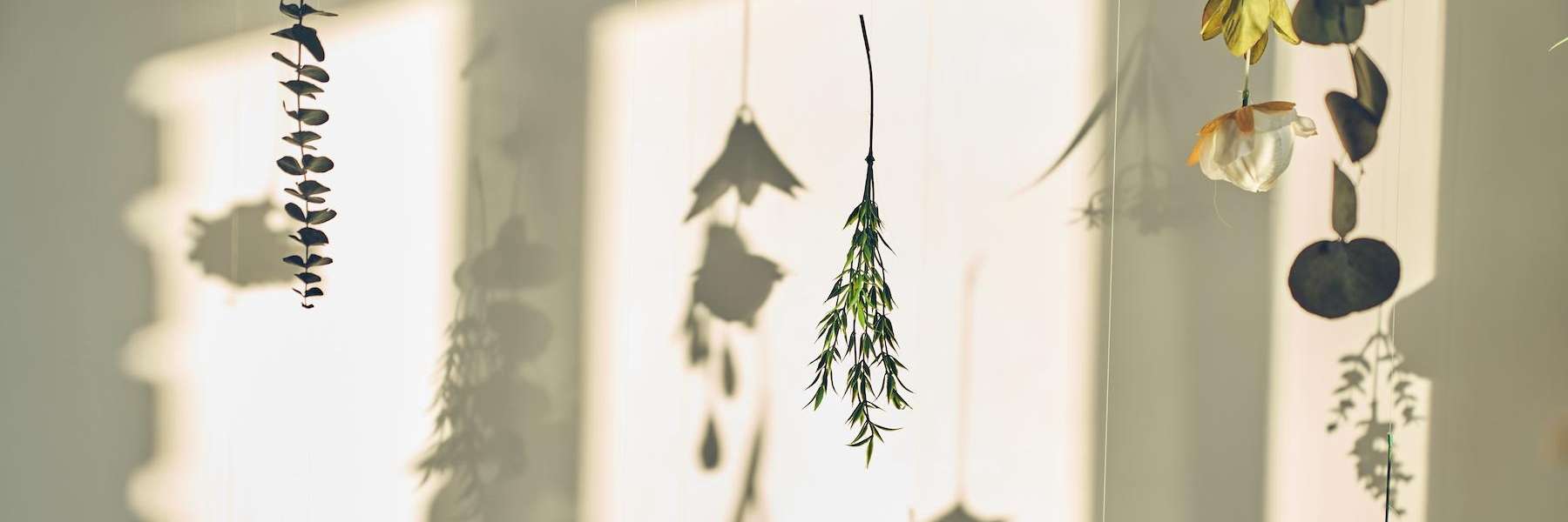 Periodontal Treatment | Dentist