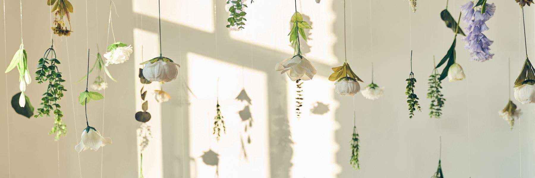 Plants dangling in front of a wall, centerville oh